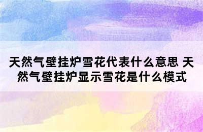 天然气壁挂炉雪花代表什么意思 天然气壁挂炉显示雪花是什么模式